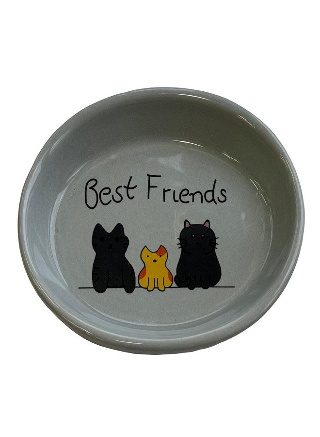 SPOT Best Friends Oval Cat Food Dish - Ceramic Plate with Low Edges, Saucer with Whisker-Friendly Shape and Low Profile Sides, Ideal for Wet or Dry Cat Food, Dishwasher Safe, 6in, Light Grey - Image 1